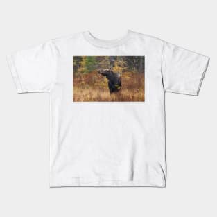 Shy - Canadian Moose - Algonquin Park, Canada Kids T-Shirt
